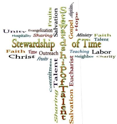 Stewardship widget2